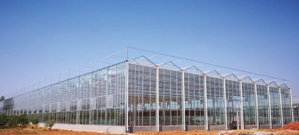 信橋鋼構：打卡蒙陰農(nóng)業(yè)溫室大棚、青州黑牛養(yǎng)殖基地！(圖2)